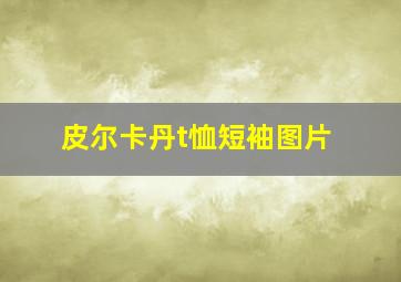 皮尔卡丹t恤短袖图片