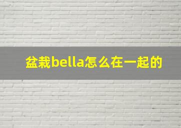 盆栽bella怎么在一起的