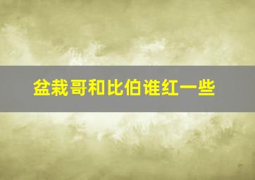 盆栽哥和比伯谁红一些