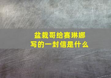 盆栽哥给赛琳娜写的一封信是什么