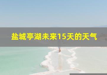 盐城亭湖未来15天的天气