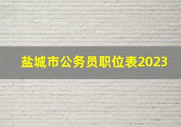 盐城市公务员职位表2023