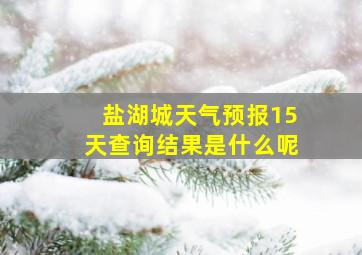 盐湖城天气预报15天查询结果是什么呢