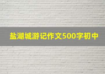 盐湖城游记作文500字初中