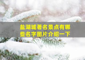 盐湖城著名景点有哪些名字图片介绍一下