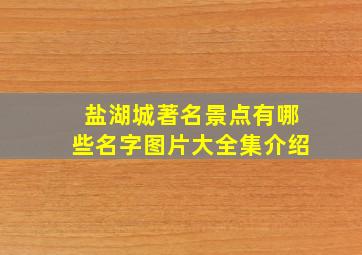 盐湖城著名景点有哪些名字图片大全集介绍