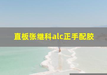 直板张继科alc正手配胶