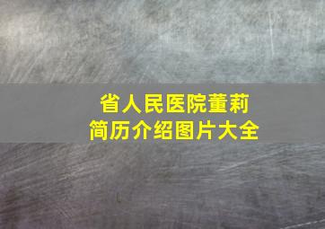 省人民医院董莉简历介绍图片大全