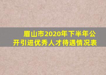 眉山市2020年下半年公开引进优秀人才待遇情况表