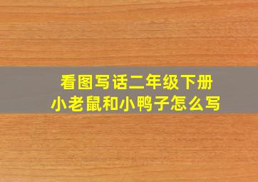 看图写话二年级下册小老鼠和小鸭子怎么写