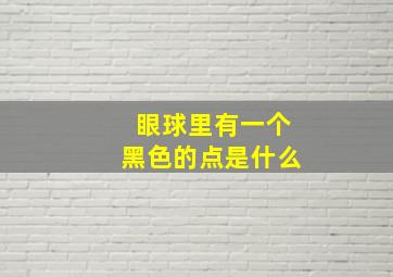 眼球里有一个黑色的点是什么