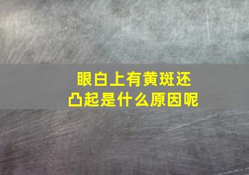 眼白上有黄斑还凸起是什么原因呢