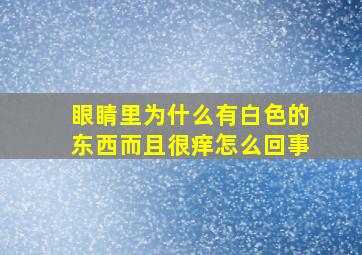 眼睛里为什么有白色的东西而且很痒怎么回事