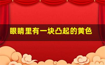 眼睛里有一块凸起的黄色