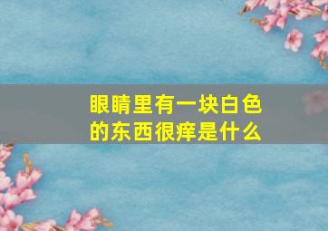 眼睛里有一块白色的东西很痒是什么