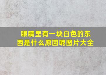 眼睛里有一块白色的东西是什么原因呢图片大全