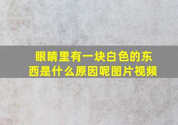 眼睛里有一块白色的东西是什么原因呢图片视频