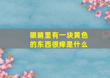 眼睛里有一块黄色的东西很痒是什么