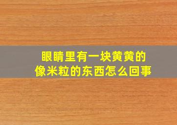 眼睛里有一块黄黄的像米粒的东西怎么回事