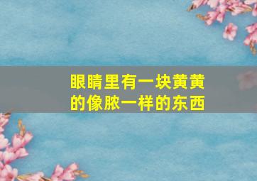 眼睛里有一块黄黄的像脓一样的东西