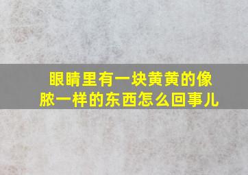 眼睛里有一块黄黄的像脓一样的东西怎么回事儿