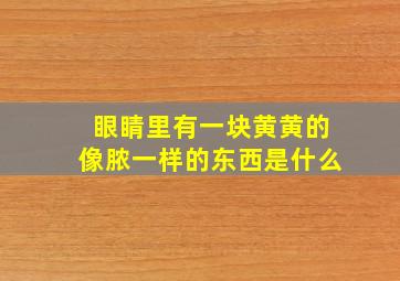 眼睛里有一块黄黄的像脓一样的东西是什么