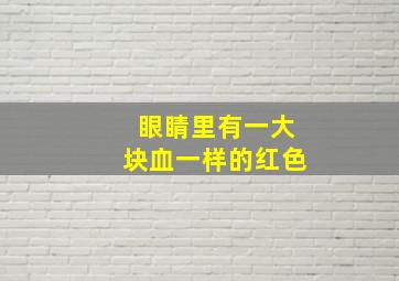 眼睛里有一大块血一样的红色