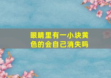 眼睛里有一小块黄色的会自己消失吗