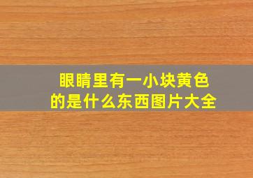 眼睛里有一小块黄色的是什么东西图片大全