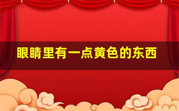 眼睛里有一点黄色的东西