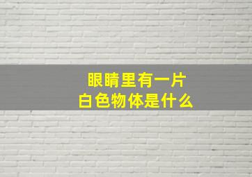 眼睛里有一片白色物体是什么