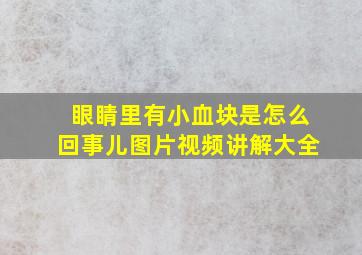 眼睛里有小血块是怎么回事儿图片视频讲解大全