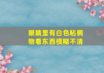 眼睛里有白色粘稠物看东西模糊不清