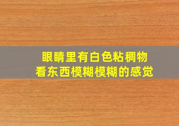 眼睛里有白色粘稠物看东西模糊模糊的感觉