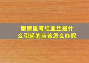 眼睛里有红血丝是什么引起的应该怎么办呢