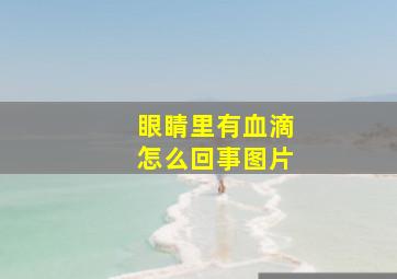 眼睛里有血滴怎么回事图片