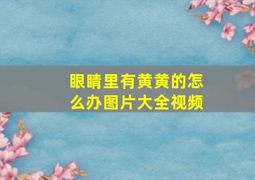 眼睛里有黄黄的怎么办图片大全视频