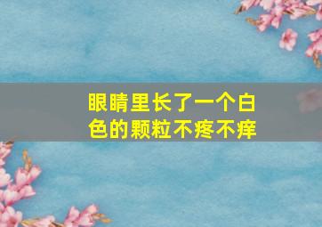 眼睛里长了一个白色的颗粒不疼不痒