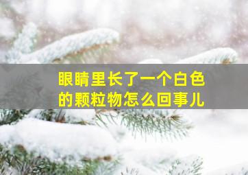 眼睛里长了一个白色的颗粒物怎么回事儿