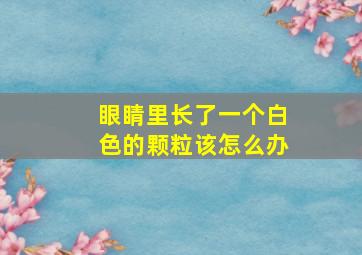 眼睛里长了一个白色的颗粒该怎么办