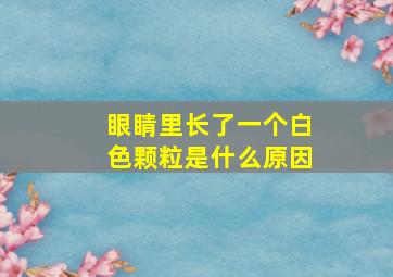 眼睛里长了一个白色颗粒是什么原因