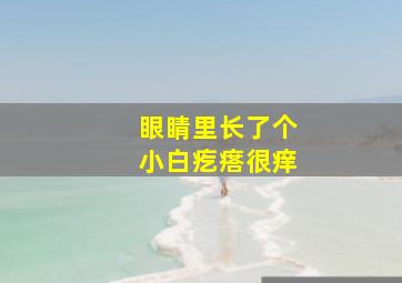 眼睛里长了个小白疙瘩很痒