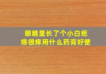 眼睛里长了个小白疙瘩很痒用什么药膏好使