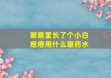 眼睛里长了个小白疙瘩用什么眼药水