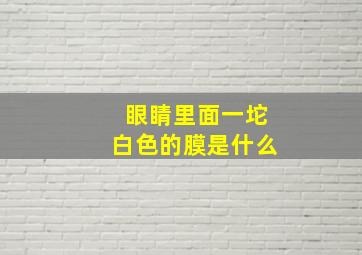 眼睛里面一坨白色的膜是什么