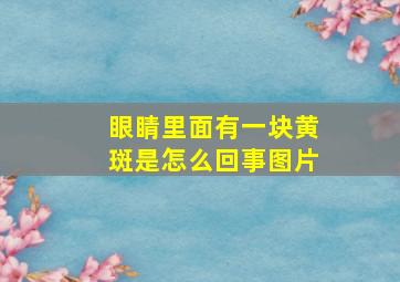 眼睛里面有一块黄斑是怎么回事图片