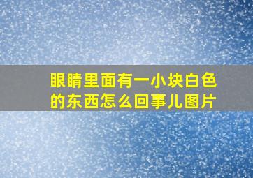 眼睛里面有一小块白色的东西怎么回事儿图片