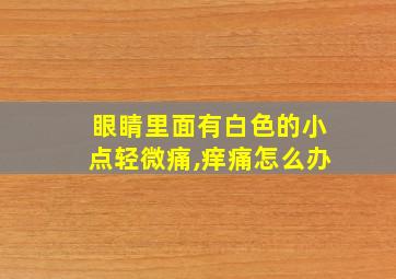 眼睛里面有白色的小点轻微痛,痒痛怎么办