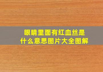 眼睛里面有红血丝是什么意思图片大全图解