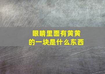 眼睛里面有黄黄的一块是什么东西